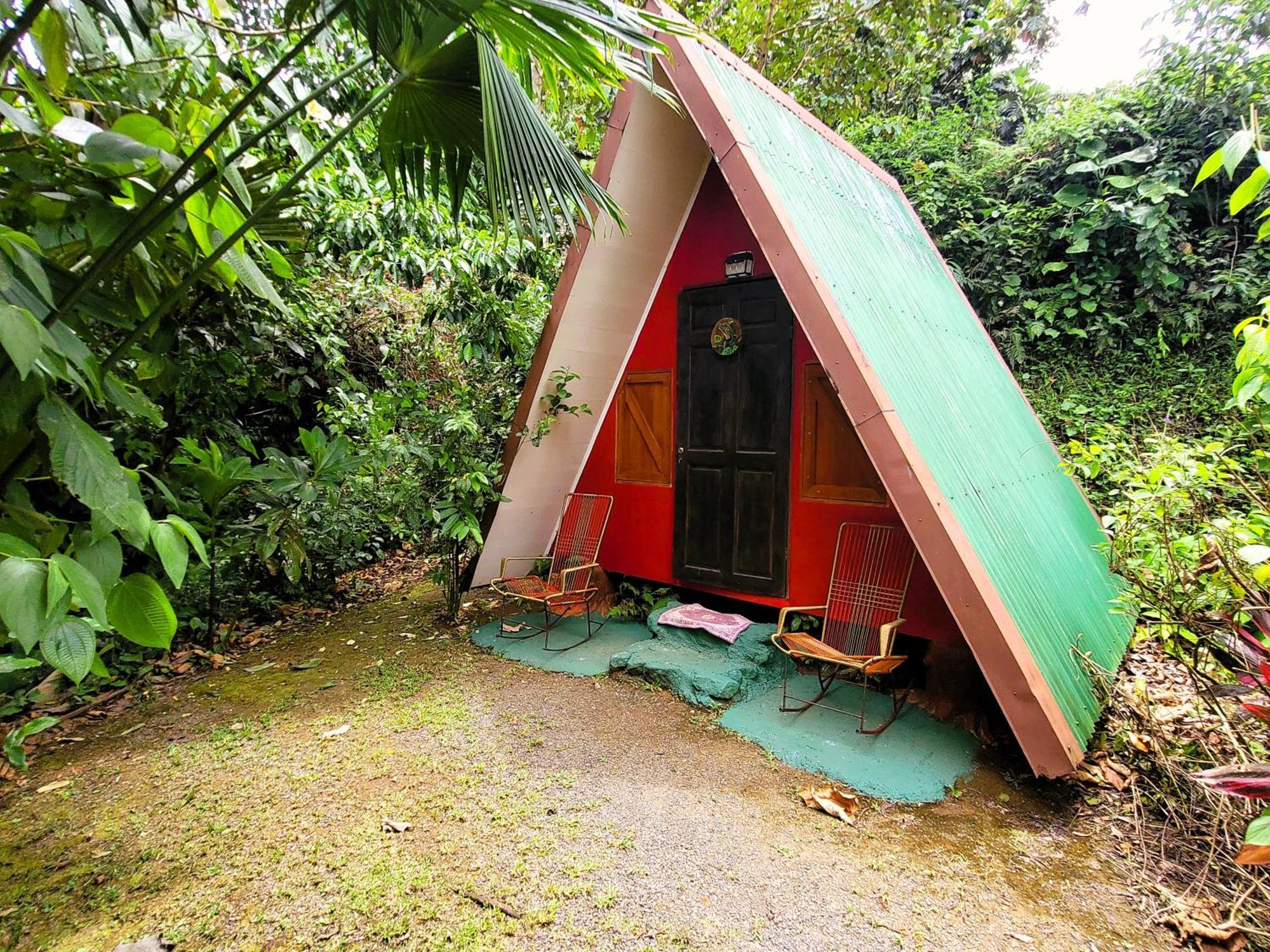 Chalets Silencio Del Bosque La Fortuna Bagian luar foto